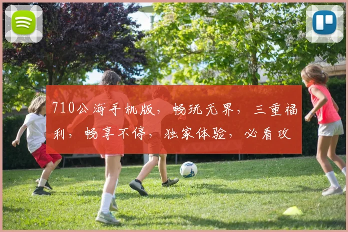 710公海手机版，畅玩无界，三重福利，畅享不停，独家体验，必看攻略