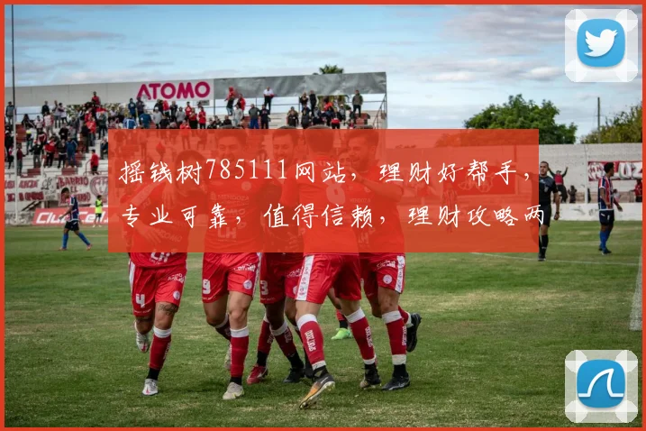 摇钱树785111网站，理财好帮手，专业可靠，值得信赖，理财攻略两则
