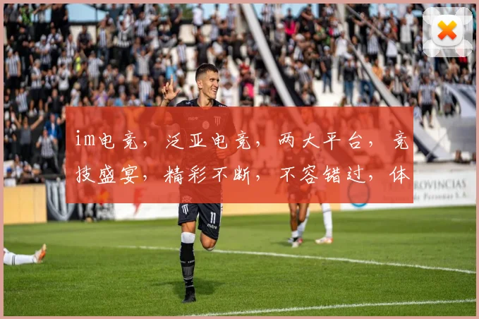 im电竞，泛亚电竞，两大平台，竞技盛宴，精彩不断，不容错过，体验非凡